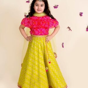 Lehenga Cholis