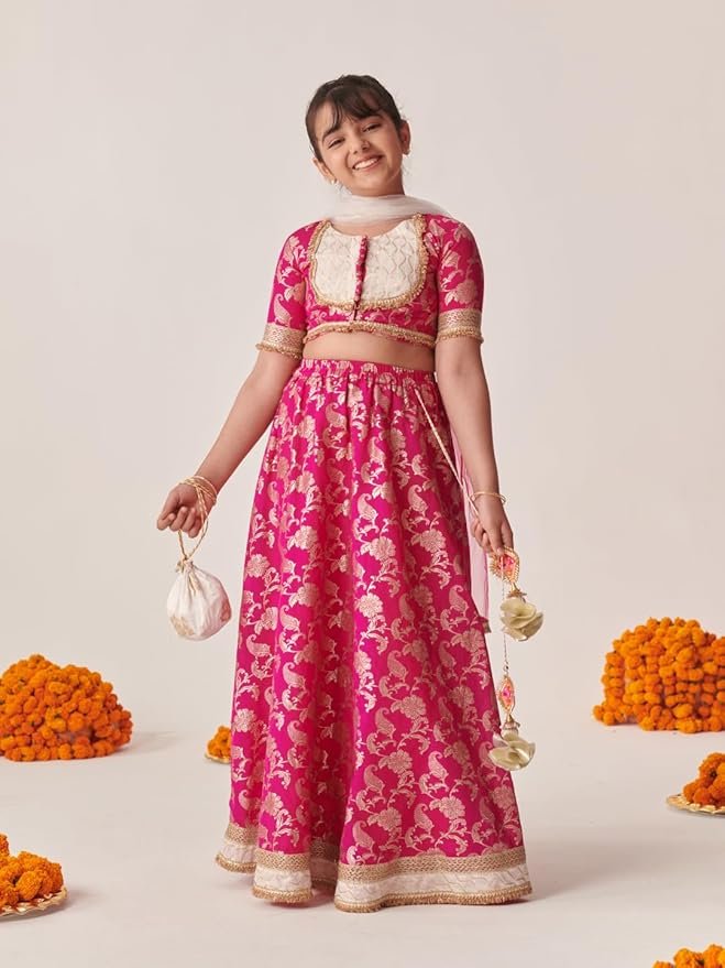 Lehenga Cholis - Image 2
