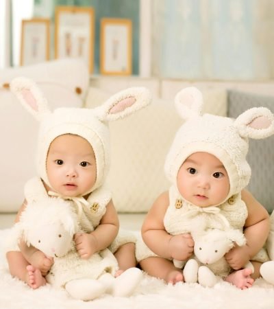 pexels-pixabay-36039